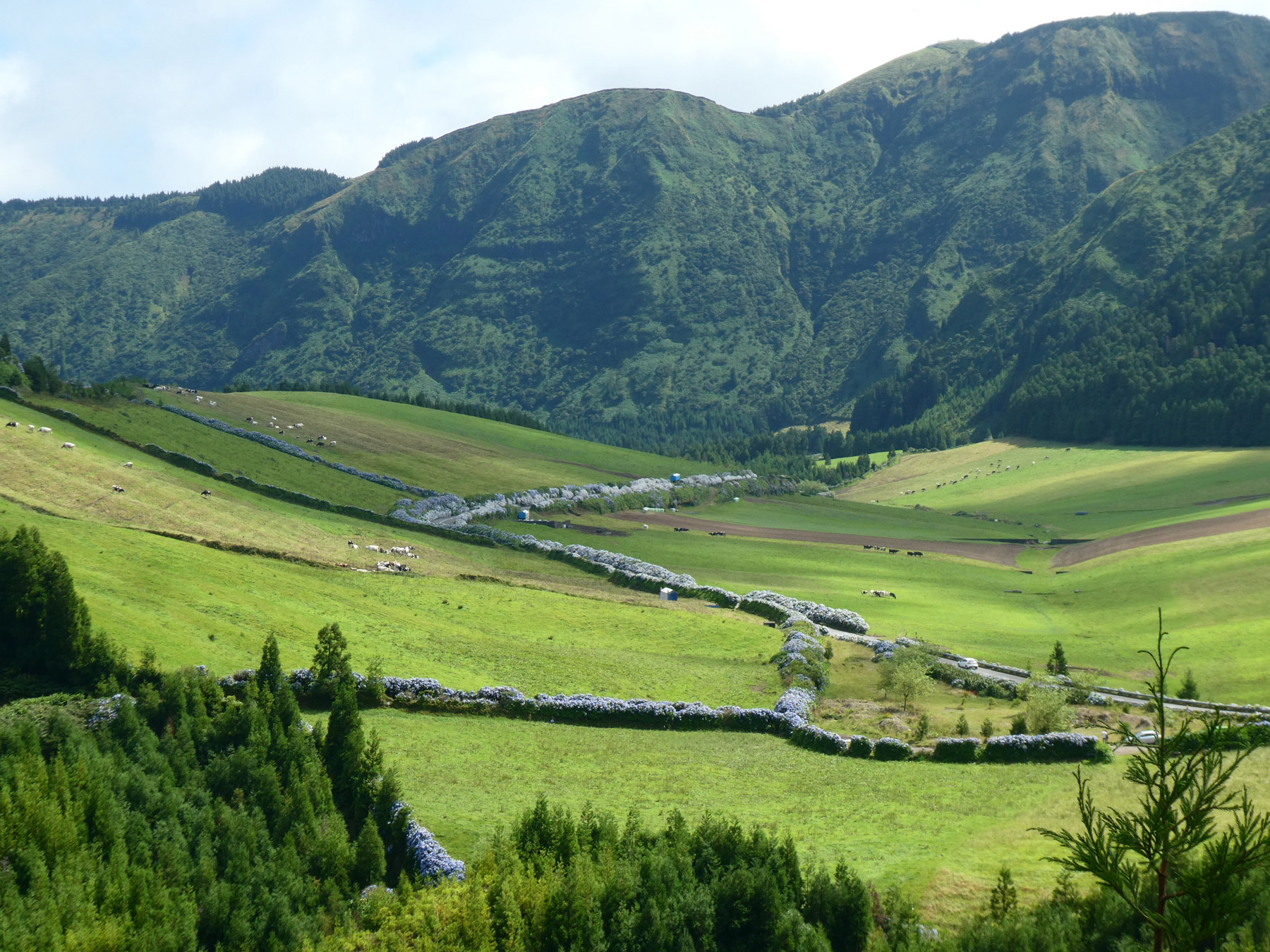 Image montrant uneplaine verdoyante des Açores
